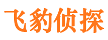 犍为市调查公司